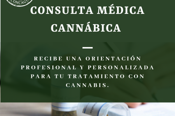 ConsultaMed.CA